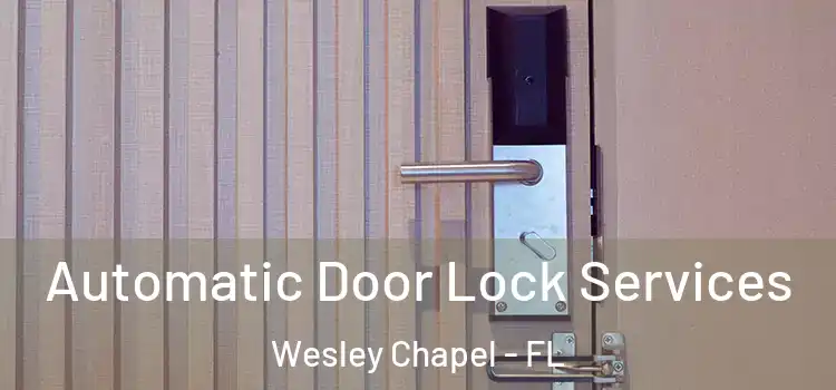 Automatic Door Lock Services Wesley Chapel - FL