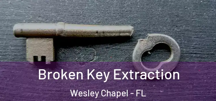 Broken Key Extraction Wesley Chapel - FL