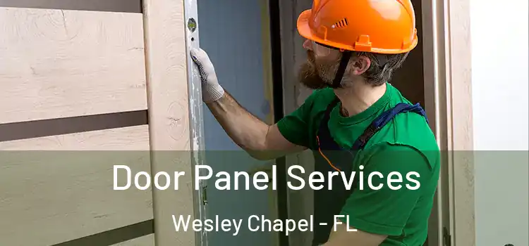 Door Panel Services Wesley Chapel - FL