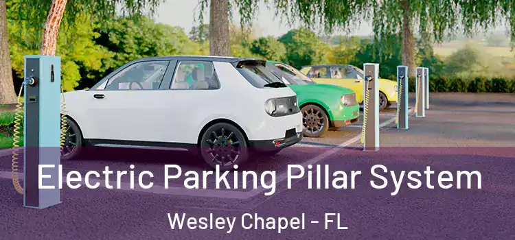 Electric Parking Pillar System Wesley Chapel - FL