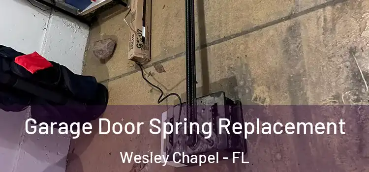  Garage Door Spring Replacement Wesley Chapel - FL