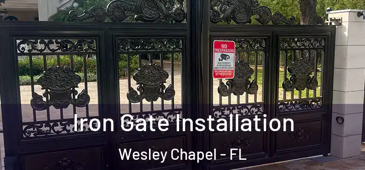 Iron Gate Installation Wesley Chapel - FL