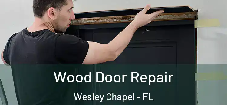  Wood Door Repair Wesley Chapel - FL